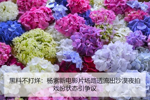 黑料不打烊：杨紫新电影片场路透流出沙漠夜拍戏份状态引争议